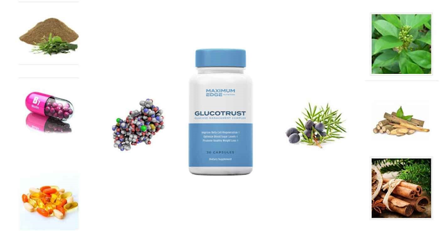 GlucoTrust-ingredients