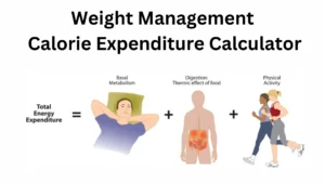 calorie expenditure calculat