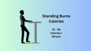 does standing burn calories