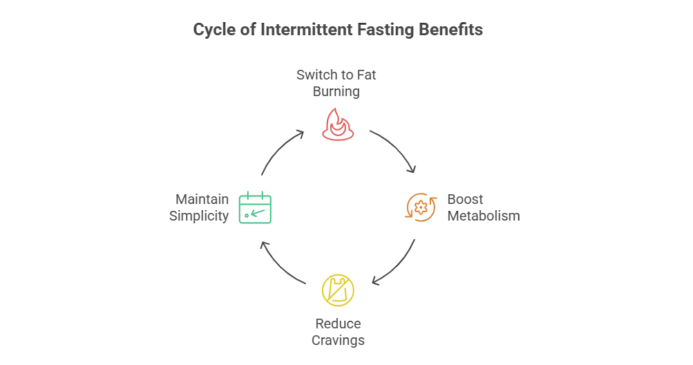 Cycle of Intermittent Fasting Benefits