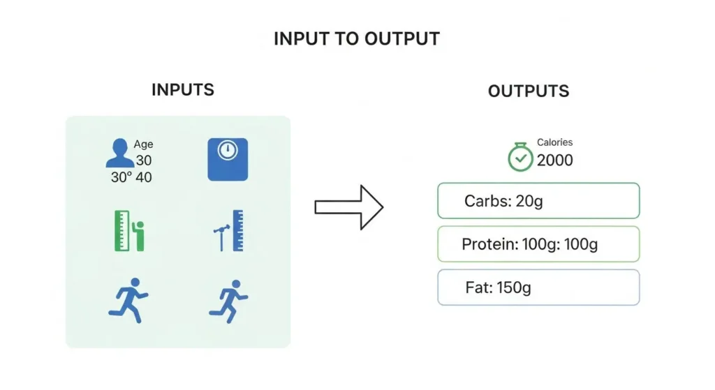 Input to Output
