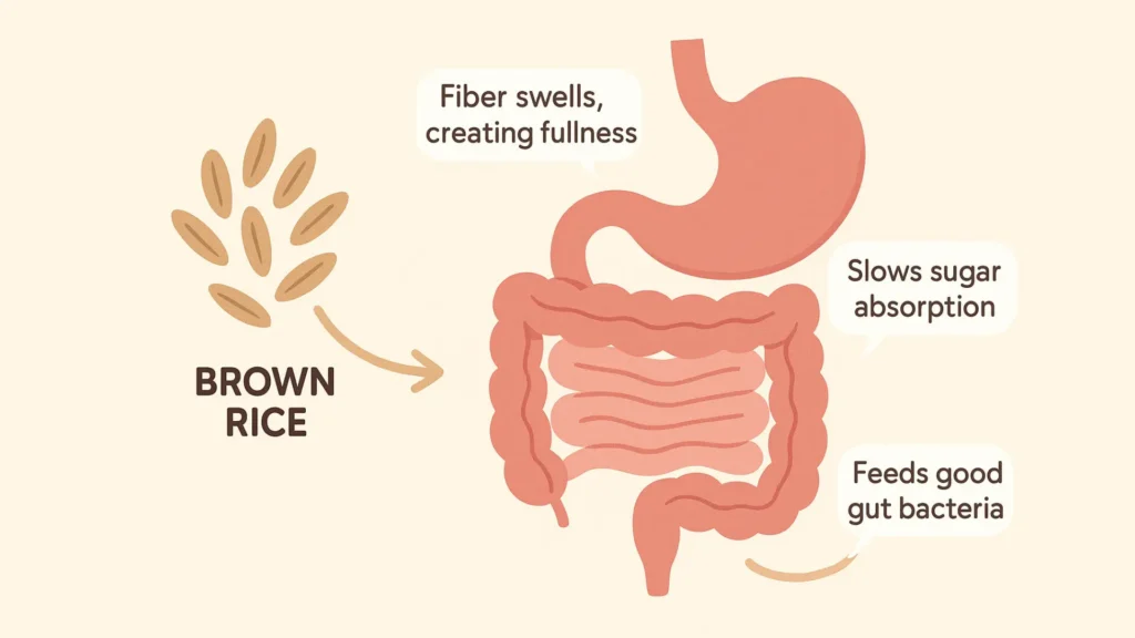 brown rice digestive benefits